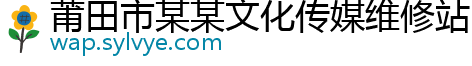 莆田市某某文化传媒维修站